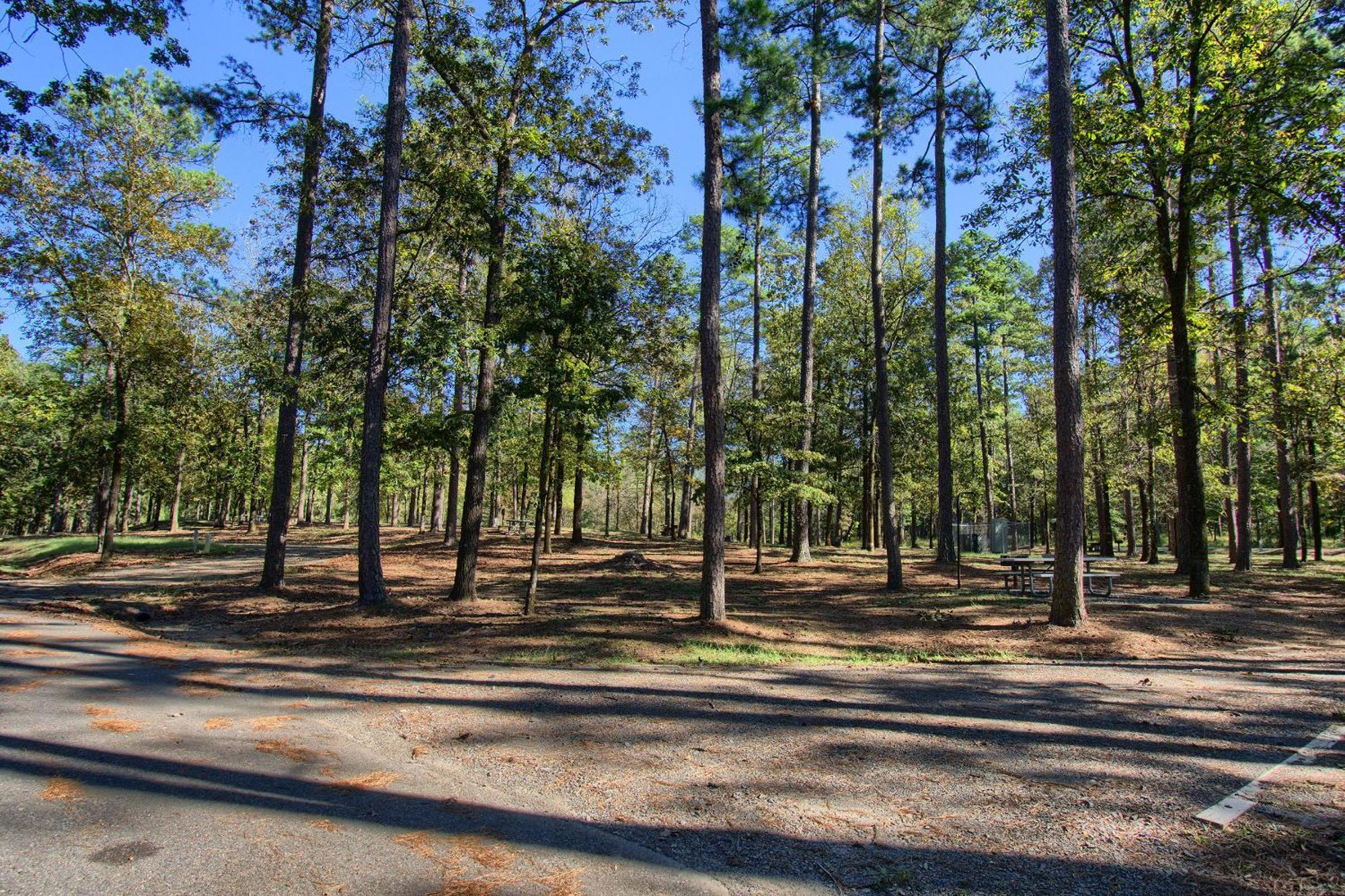 The Americana - Parker Creek Bend Cabins Murfreesboro Eksteriør billede